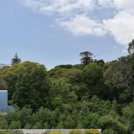 Arquinha 아파트 Ponta Delgada