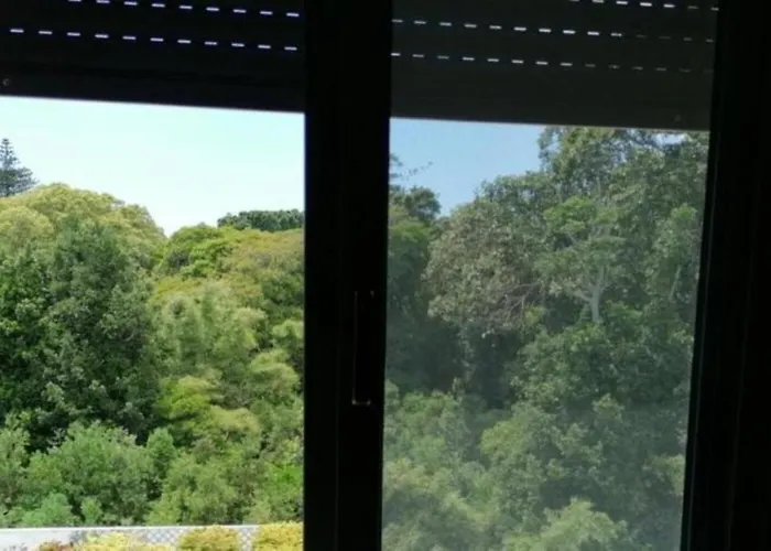 Arquinha Ponta Delgada